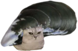 :ChatMoule: