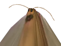:risicafard: