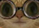 :Chatoune:
