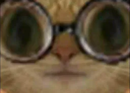 :Chatoune: