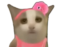 :ouai:
