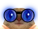 :chatlunettesbleues:
