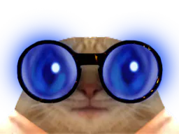 :chatlunettesbleues: