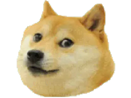 :shiba: