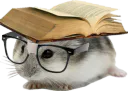 :hamster2savoir: