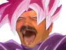:rose_rit: