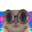 :chatzoom_huegif: