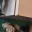 Photo de profil de Coindeplacard