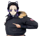 :Canada_shinobu: