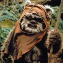 Ewok