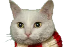 :Chat_Triss3: