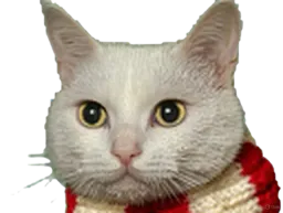 :Chat_Triss3: