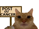:cancerchat: