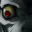Photo de profil de Misere