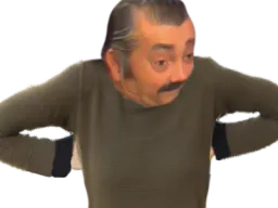 :BrasRisitas: