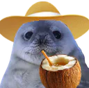:phoquecoco: