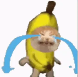 :chat_banane_pleure: