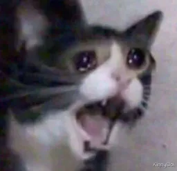 :chayamero: