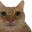 Photo de profil de 2e_pseudo