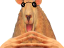 :Beh: