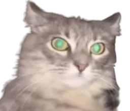 :Chat_yeux_martien: