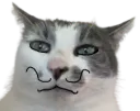 :chatmoustache: