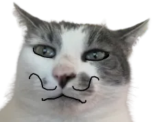 :chatmoustache: