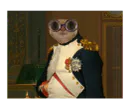 :Chat-Napoleon: