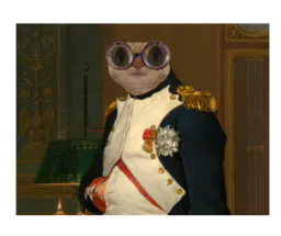 :Chat-Napoleon: