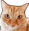 :Chatoui: