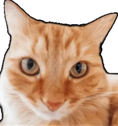 :Chatoui: