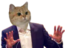 :chat_calme: