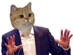 :chat_calme: