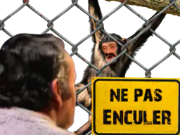 :ne_pas_enculer_2: