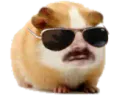 :Hamster: