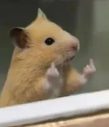 :Hamster_fuck_: