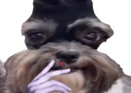 :Doggy_fion: