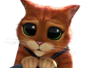 :chat_potte_stp: