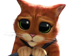 :chat_potte_stp: