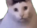 :Minou_han_ent:
