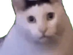 :Minou_han_ent: