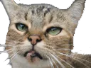 :chat_euuuh: