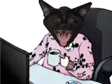 :chatpc: