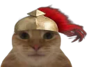 :Spartcat2: