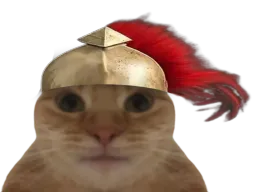 :Spartcat2: