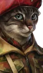 :Cat1: