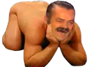 :risicul: