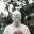 Photo de profil de Pseu
