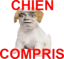 :chien_compris: