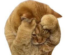 :Chatdoliprane: